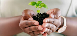 about-us-csr-initiatives