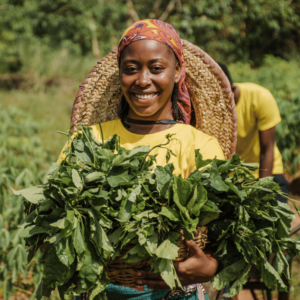 bancABC-woman-holding-plant-leaves